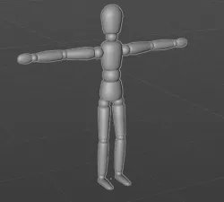 Human 3D model