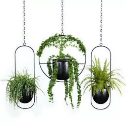 Indoor Plant Set 01 Hanging Plants 3D model