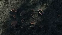 NATURE 3D model