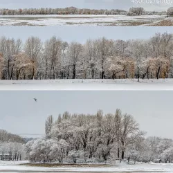 Panorama of the park with a lake and snow-covered trees - 45k 3D model