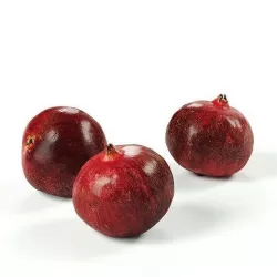 POLYPASTA - Pomegranate 01 3D model