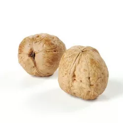 POLYPASTA - Walnut 02 3D model
