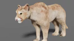 puma 3d 3D model