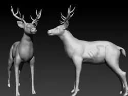 Reindeer 3D model