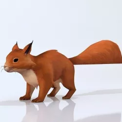 Squirrel 3D model