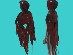 torn cape 3D model