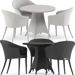 Wing armchair and Amari Fully Woven table by Janus et Cie 3D model
