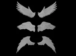 wings 3D model