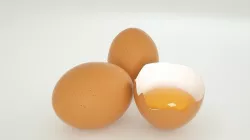 3D egg  3D model