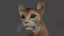 ACAT-012 Walks in place 3D model