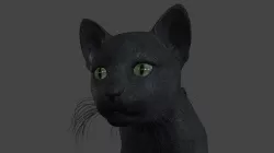 ACAT-022 Walks in place 3D model