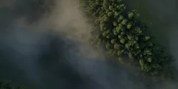 Animated VDB Cloud Formations 3D model