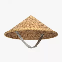Asian bamboo hat 3D model