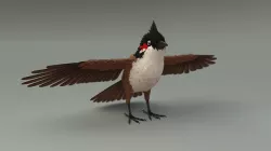 Bird bird sparrows binding model 3D model