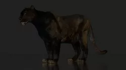 Black Panther 3D model  Low-poly 3D model