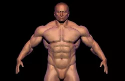 BODYBUILDER BSE MESH  Low-poly 3D model