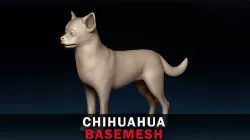 Chihuahua Base Mesh 3D model