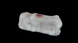 Dead Body covered with a sheet on a stretcher Low-poly 3D model