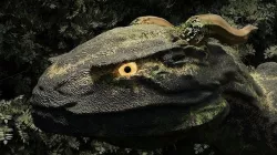 DRAGON WYVERN 3D model