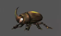 Dung beetle dung beetle longicorn beetle insect 3D model