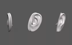Ear Human Low-poly 3D model