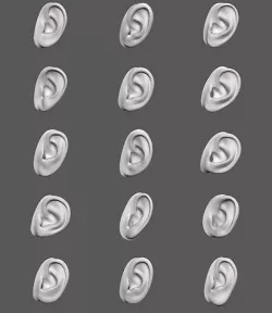 Ears Human 3D model