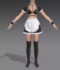 Erotic Maid Outfit 3D model