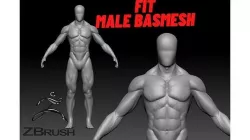 fit male base mesh 3D model