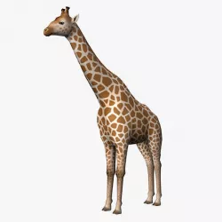 Giraffe Low-poly 3D model