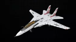Grumman F-14 Tomcat 3D model