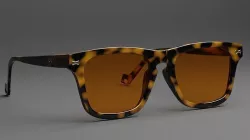 Gucci Wayfarer Tortoise 3D model