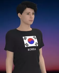 Korea shirt 3D model