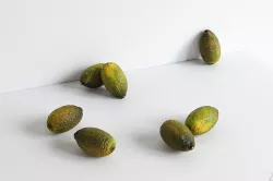 Lime 004 3D model