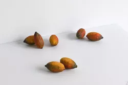Lime 005 3D model