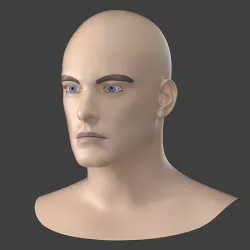 Natural Male Head 01 Generic Mesh 3D model