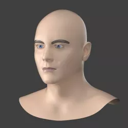Natural Male Head 02 Generic Mesh 3D model