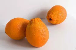 Orange 002 3D model