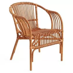 Pari Rattan Chair  3D model