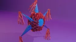 Pinata mexicana 3D model