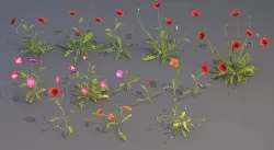 Plants 3D model
