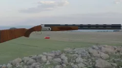Shotgun 3D model