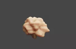 skin piece  3D model