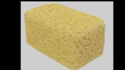 Sponge 3D model