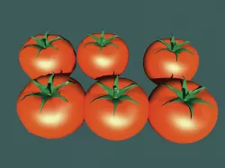 TOMATO 3D model