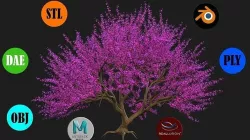 Tree Cherry Blossoms 3D model