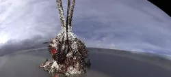 Winter Dragon claw Mountain 3D model