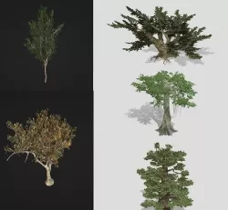 5 tree import-ready set 3D model
