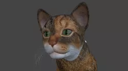 ACAT-018 Walks in place 3D model