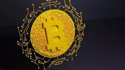 Bitcoin model 3D model
