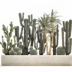 Cactus set in a concrete flowerpot for the interior 1096 3D model